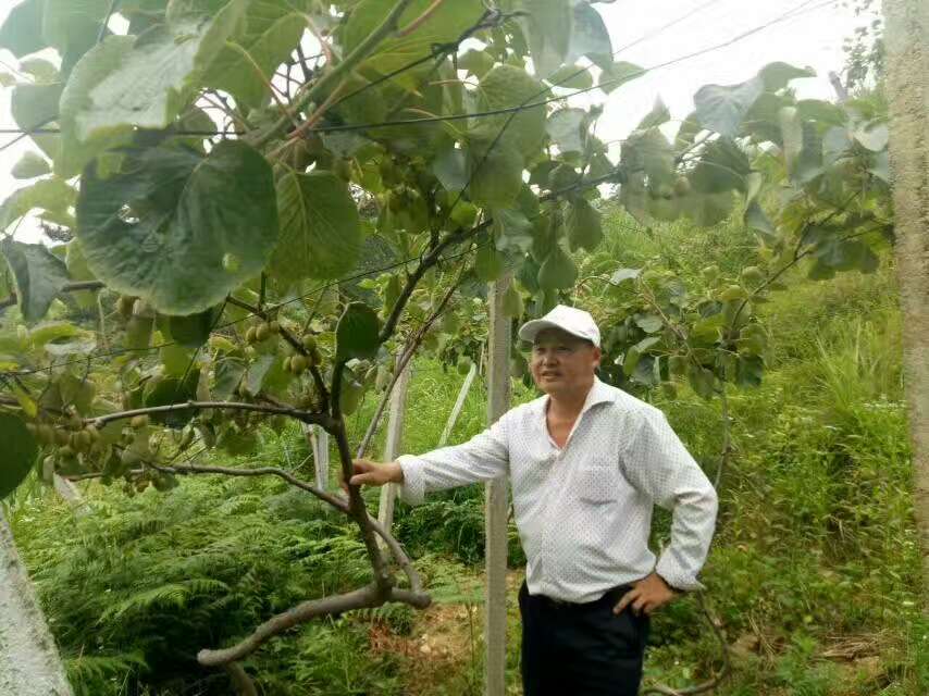 东口村两委到北中学习产业发展