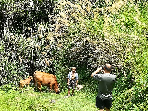 ���ʹ忪չƶ������ҵ����