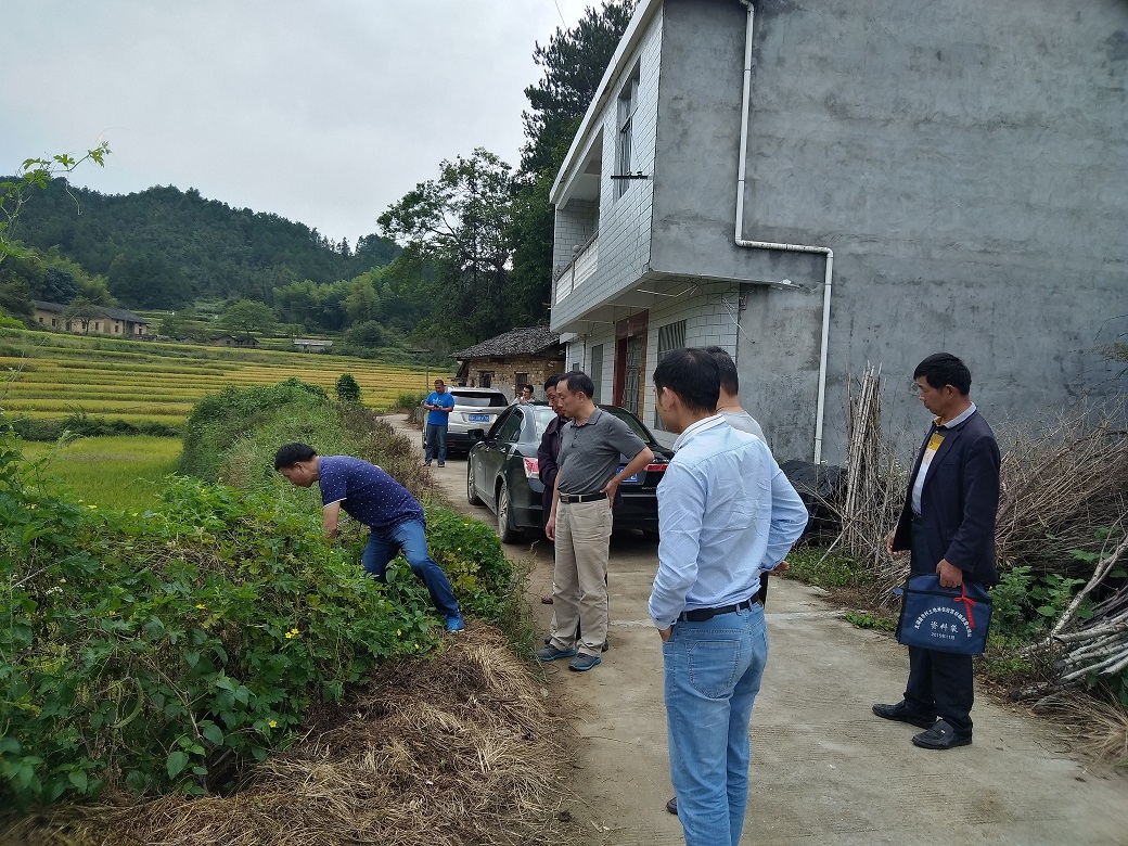 ������������ֳ�������������