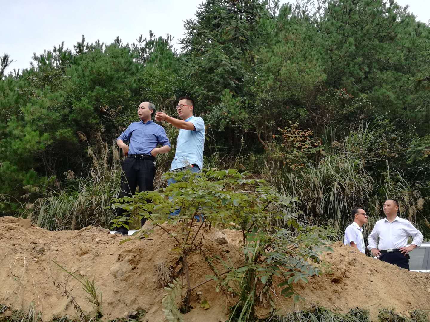 ̫������ҵ�ָ��ֳ�ʯ��ӡ����