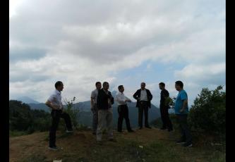 �弶���徭�ô���Ž�