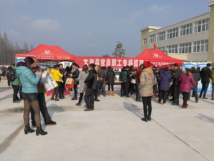 ������ٰ�2017��������Ƹ��