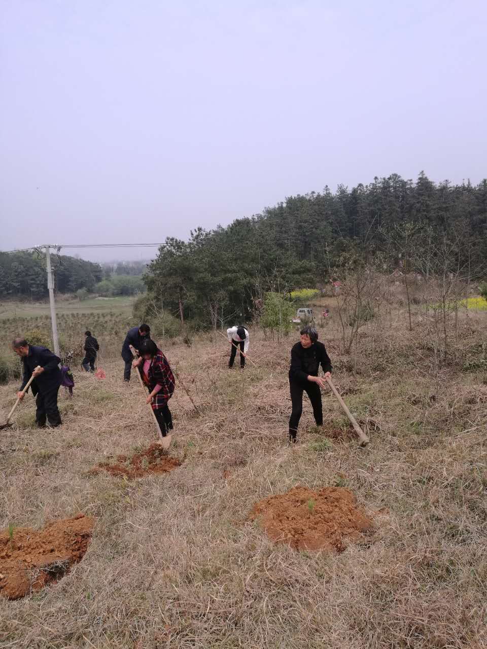 ���ִ�ɭ�ָ���