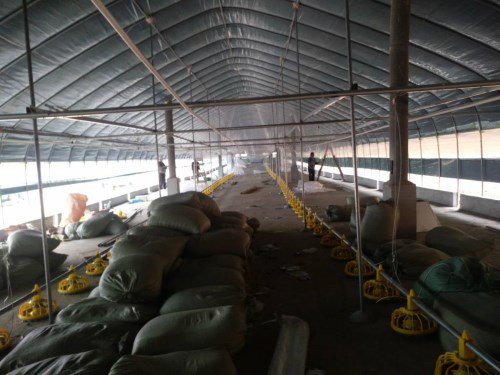 �������⼦��ֳ����ʽͶ��ʹ��