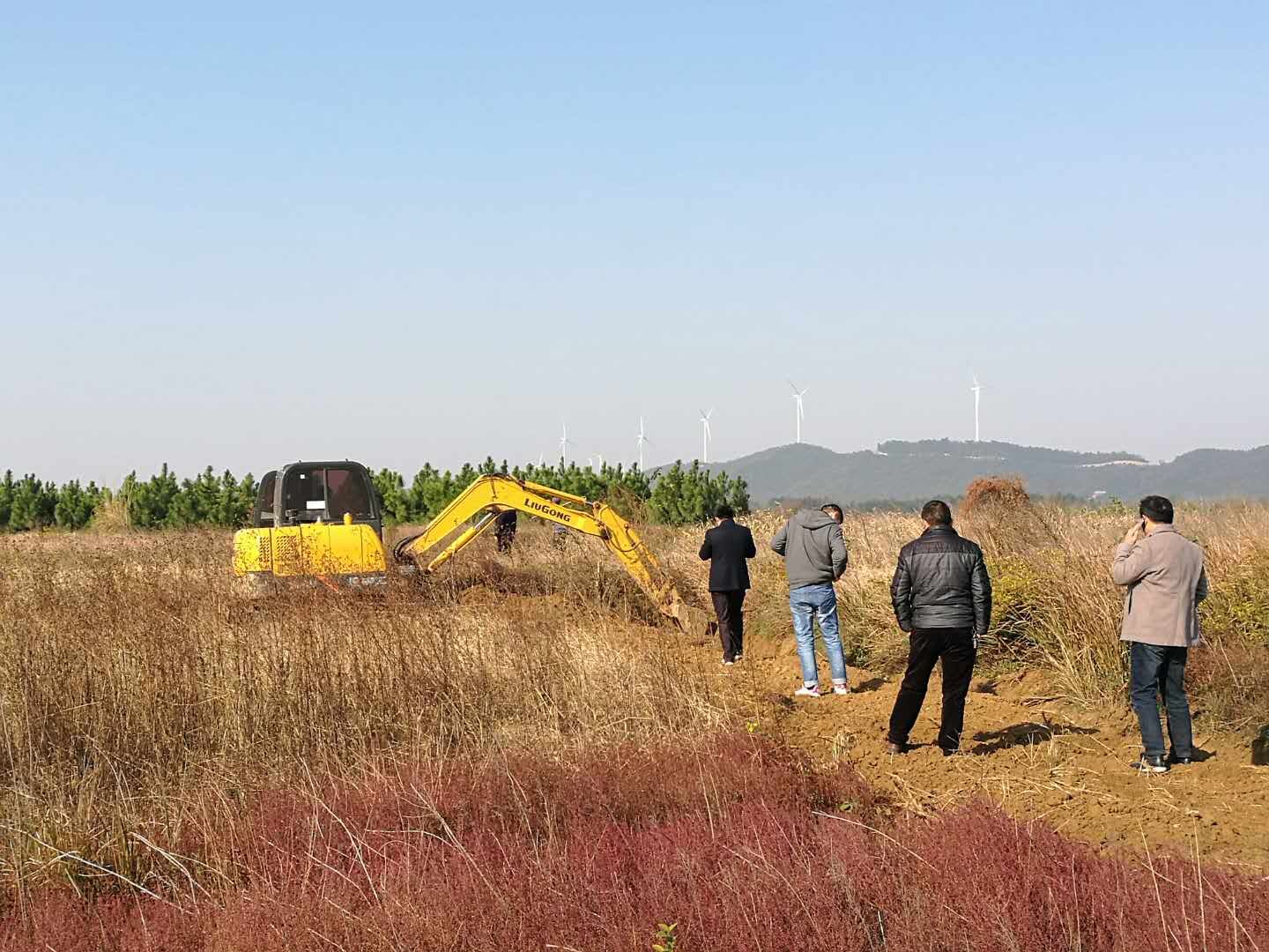 ���Ŵ��ҵ������ʽ����