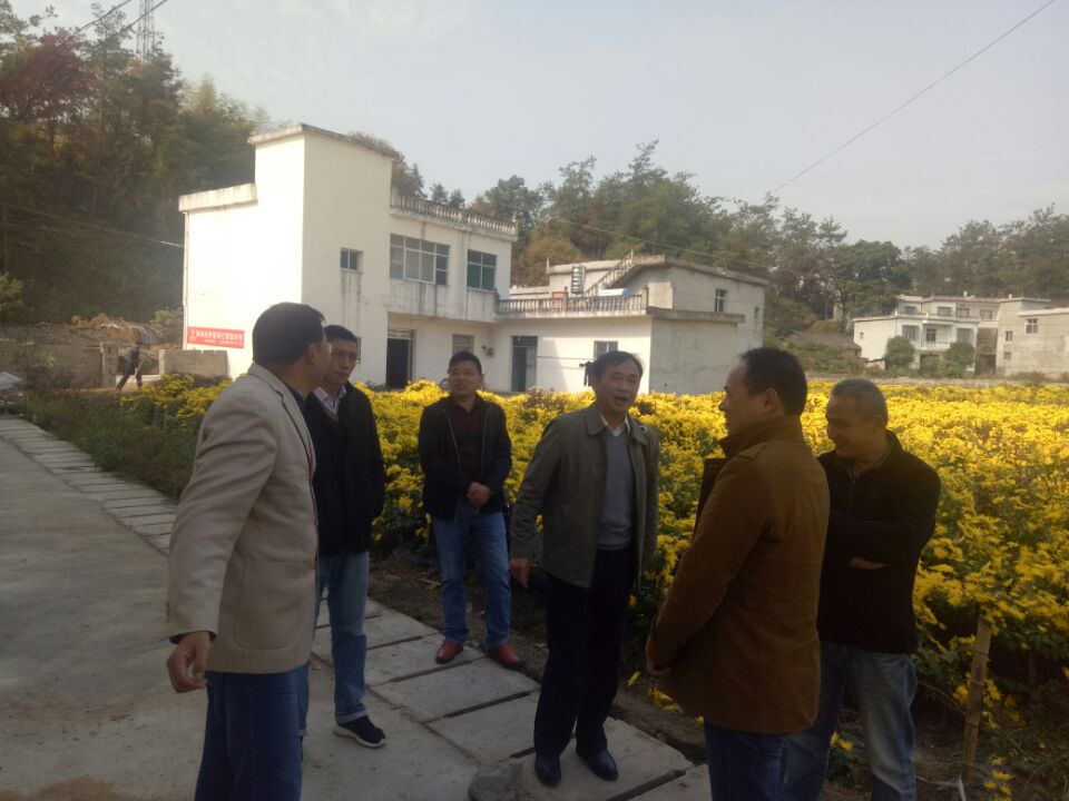 ���Ŵ���֯��������ҵ����