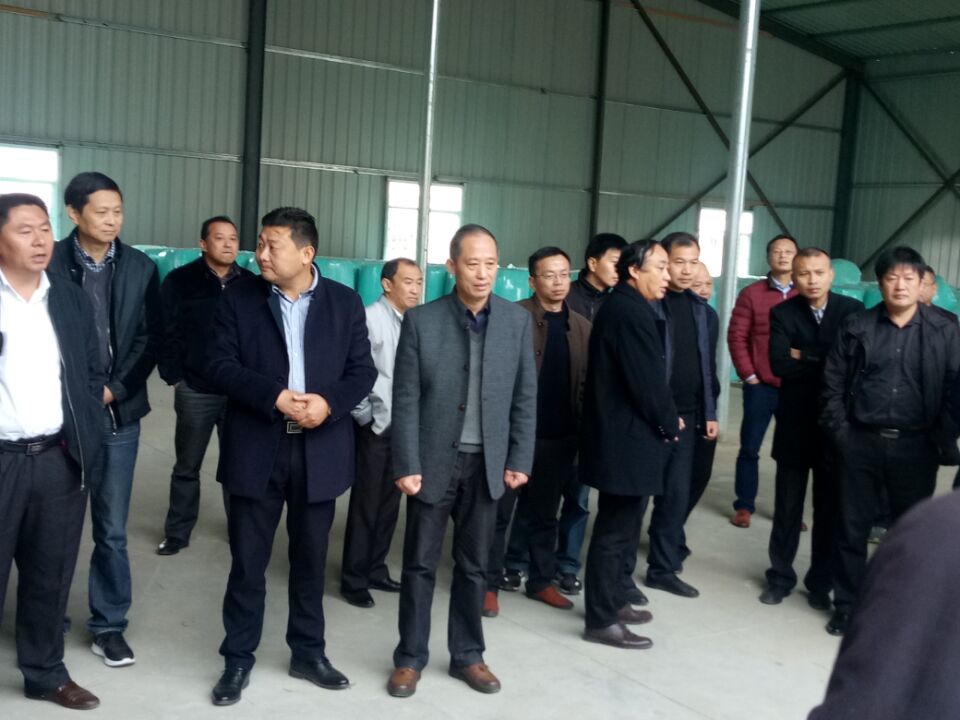 ���˴�ί�����Ҵ嶽��ָ����