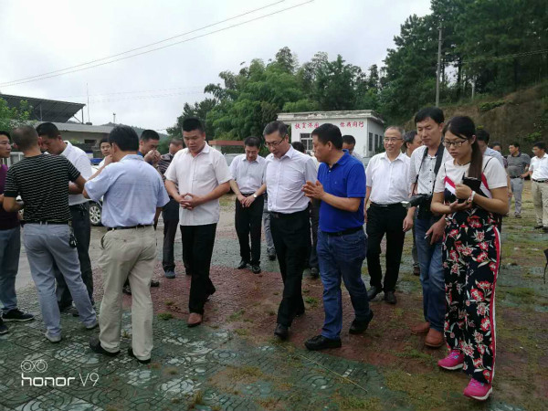 �����г��г����Ҵ���з�ƶ��