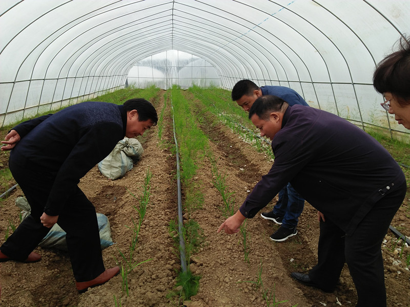 ��ũί�쵼����һ����ָ����