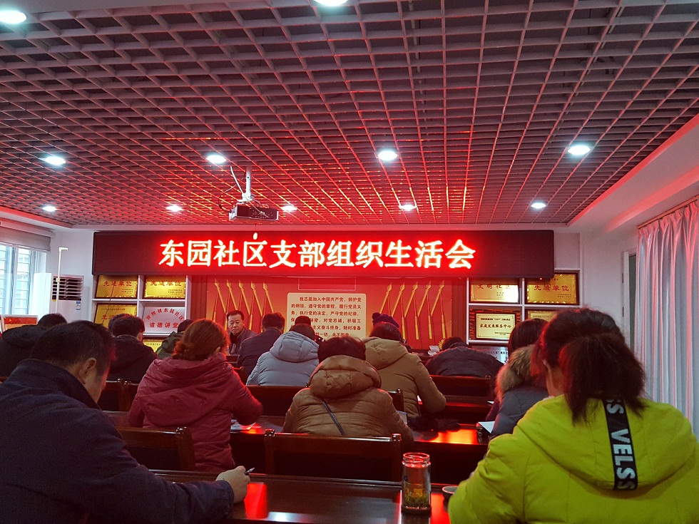 东园社区召开支部组织生活会