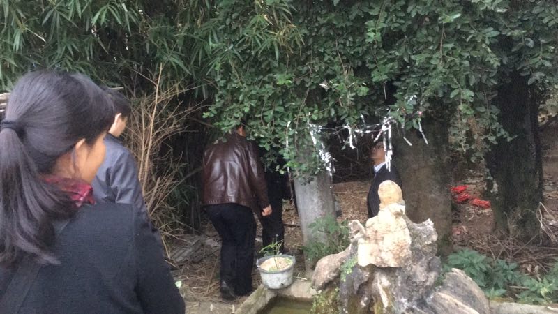 ���Ĺ������Ҵ�̽�ù�Ĺ