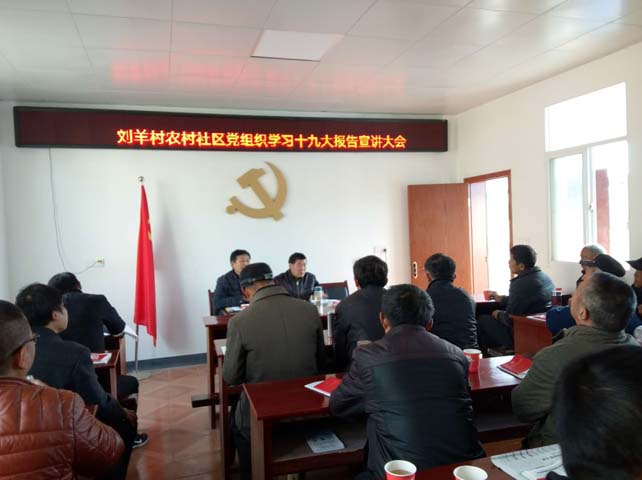 刘羊村召开十九大报告宣讲大会
