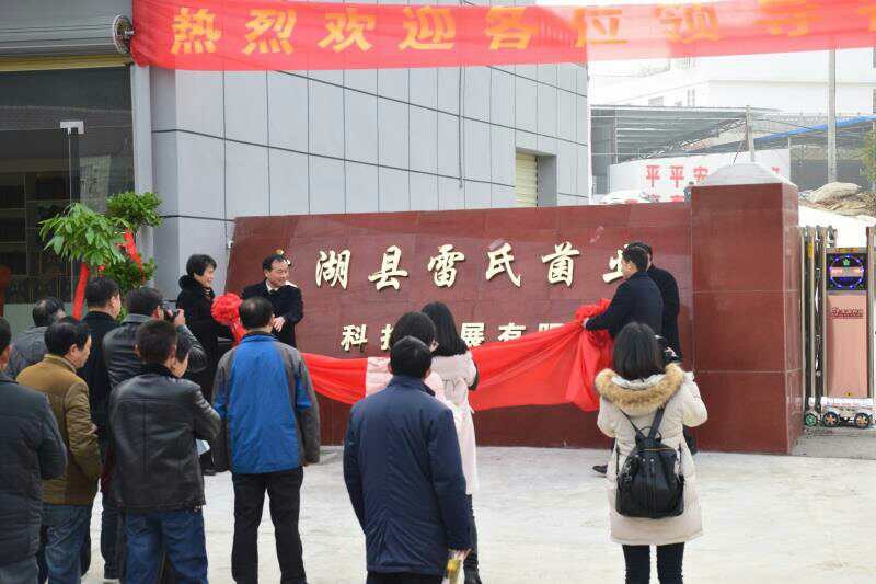 �Ž����ҵ��ƶ����----���Ͼ�ҵ����Ӫҵ