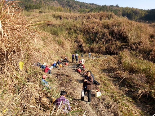 12��26�գ���̨�����ִ󻧼ӽ�