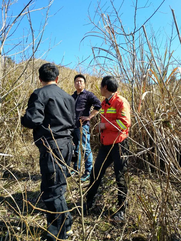 �糤����ָ��������