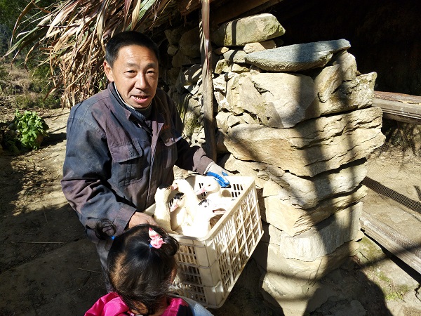 �����巢�ŷ�ƶ��Ѽ