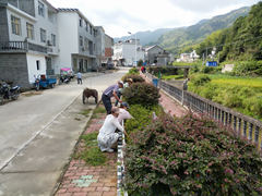 ���ִ���ί�ڵ�·������������