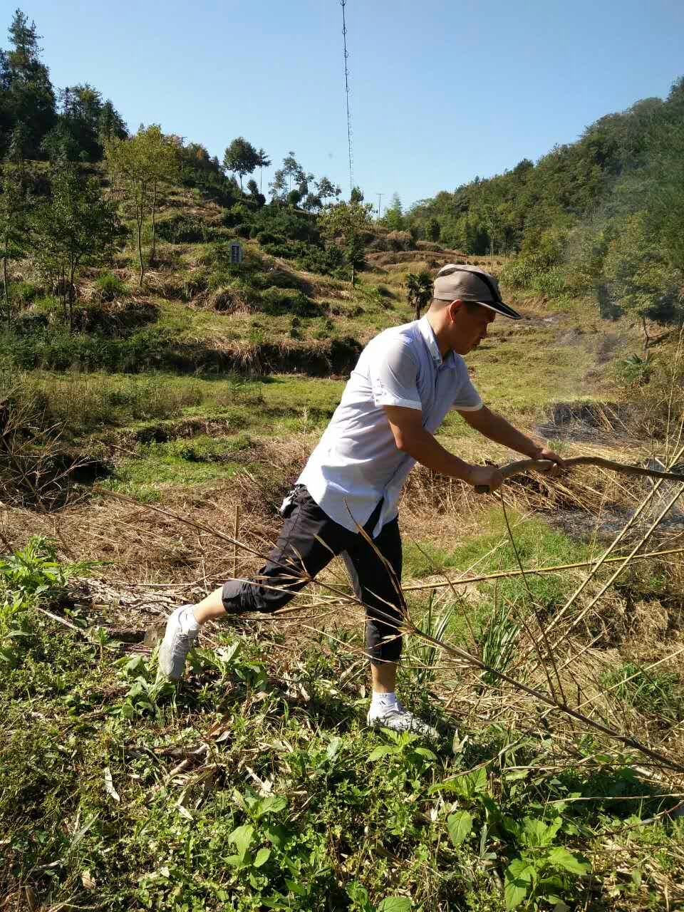 �������������δ���������ҵ