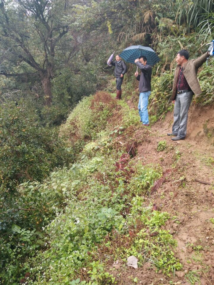 �����һ�����Զ��ʹ�����