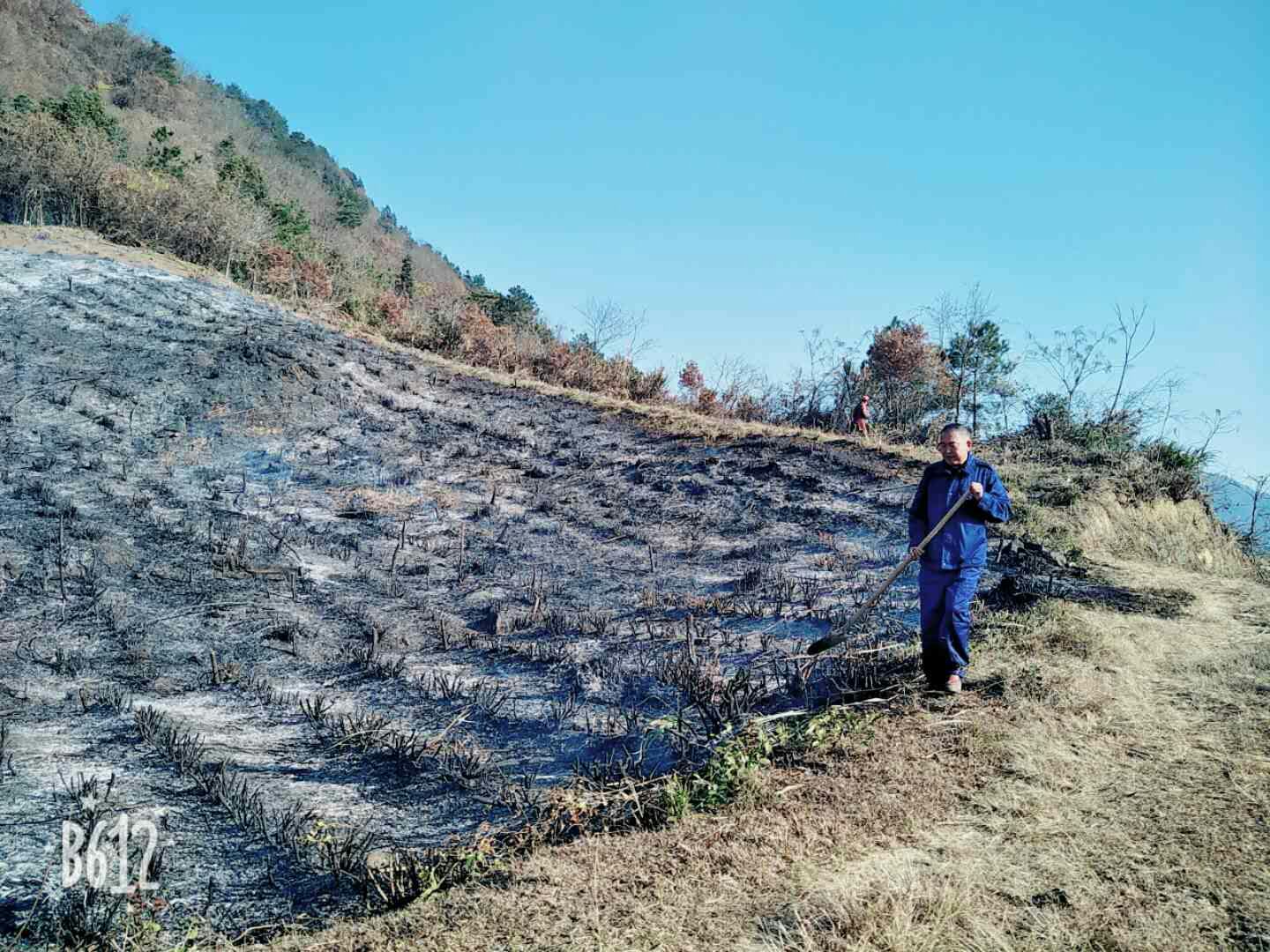 ͬ���弶�����翪չ��ɽ