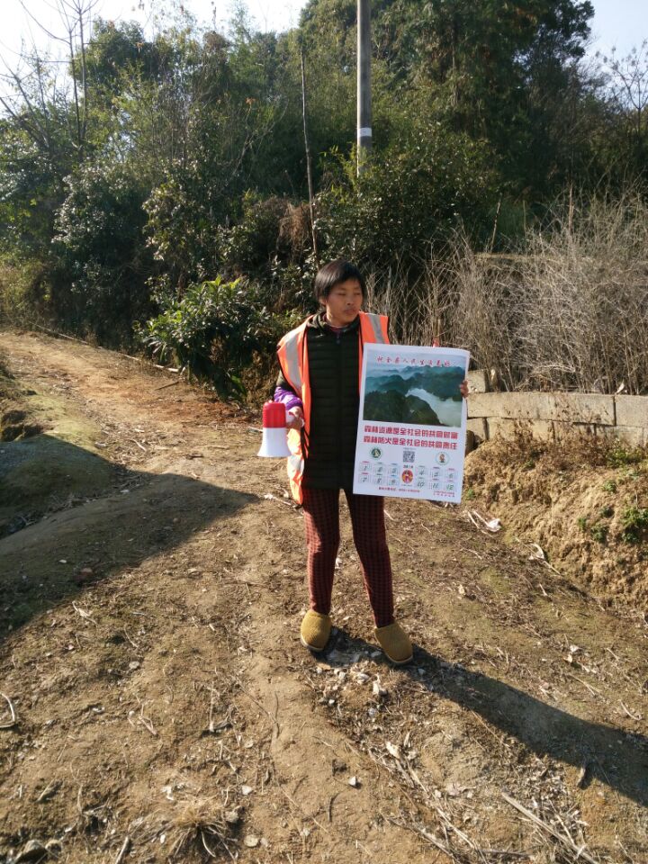 ����Ѳ��