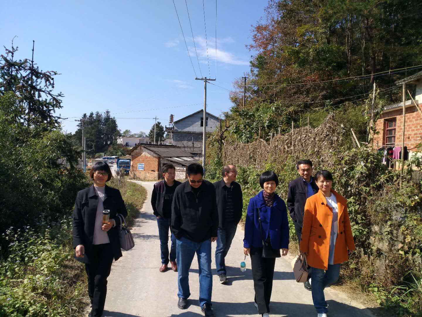 ̫���ط�Ժ�뻧�߷�ƶ��������