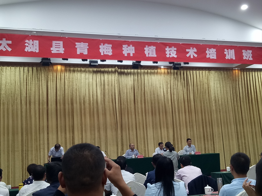 太湖县青梅种植技术培训