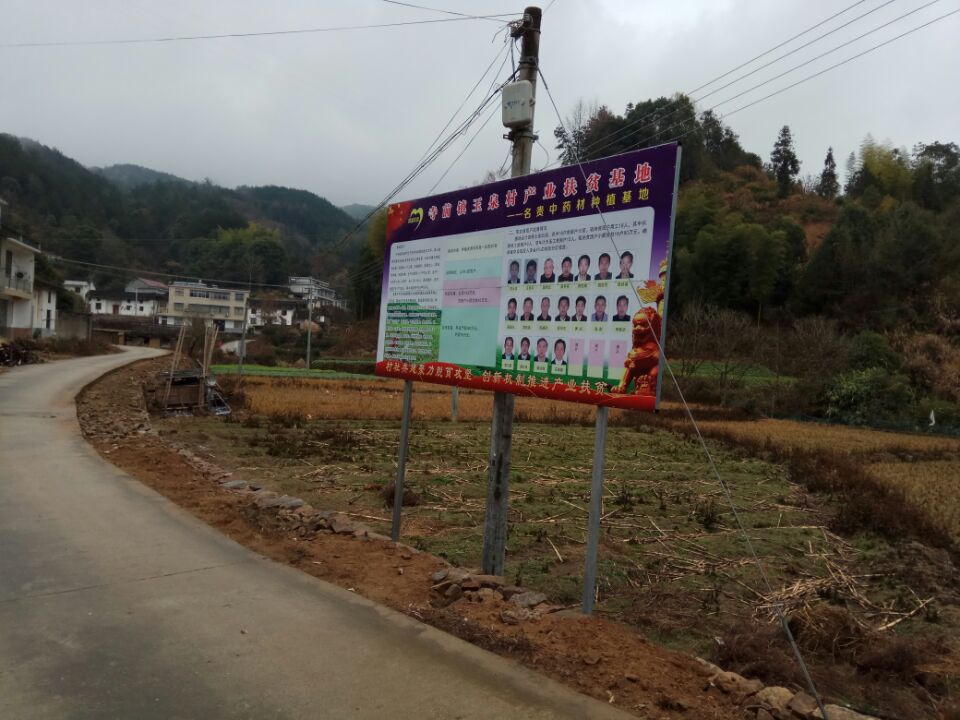 ��Ȫ��ũҵ��������ҩ����ֲ��