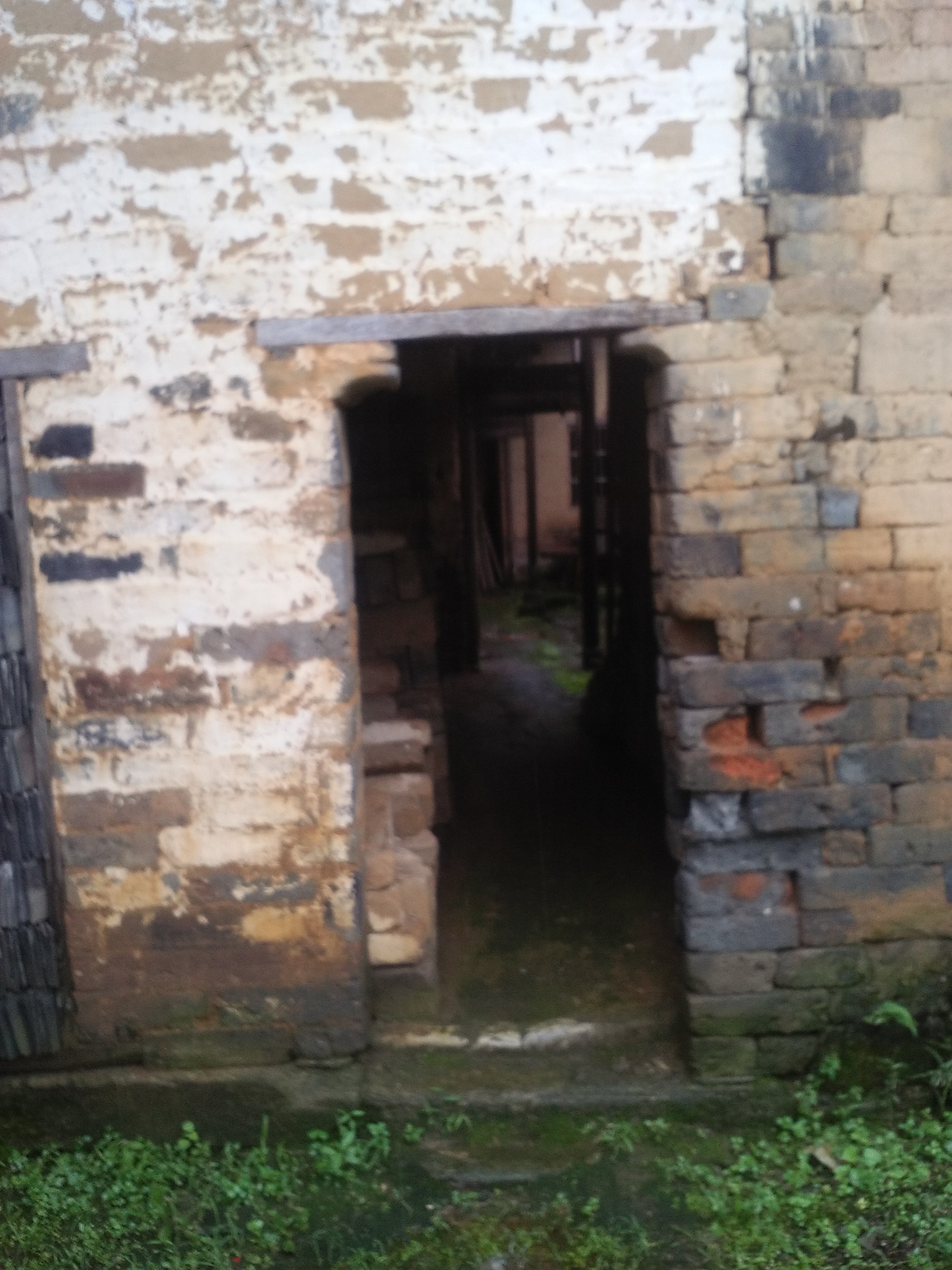 �׵ط�ƶ��Ǩ