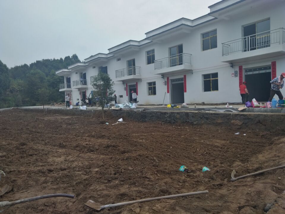 2017����кӴ��׵ط�ƶ��Ǩ��