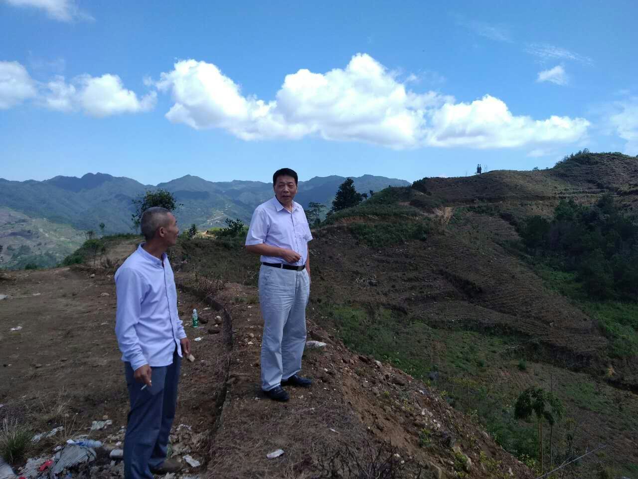 ��������ΰ���ֳ��鿴��ʯ���