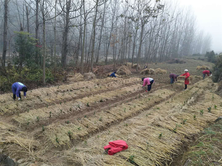 ��Ȫ�磺�ոѿ�ѧ����