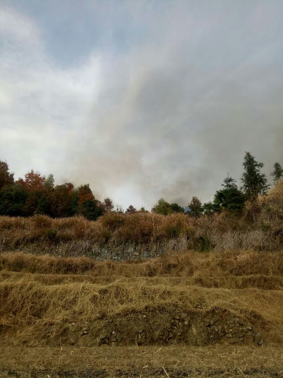 ����֯��ɽ(ͼ��)