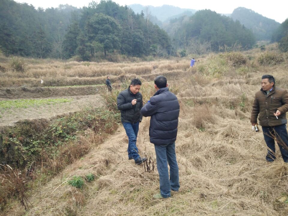 �߱�׼ũ������������(ͼ��)