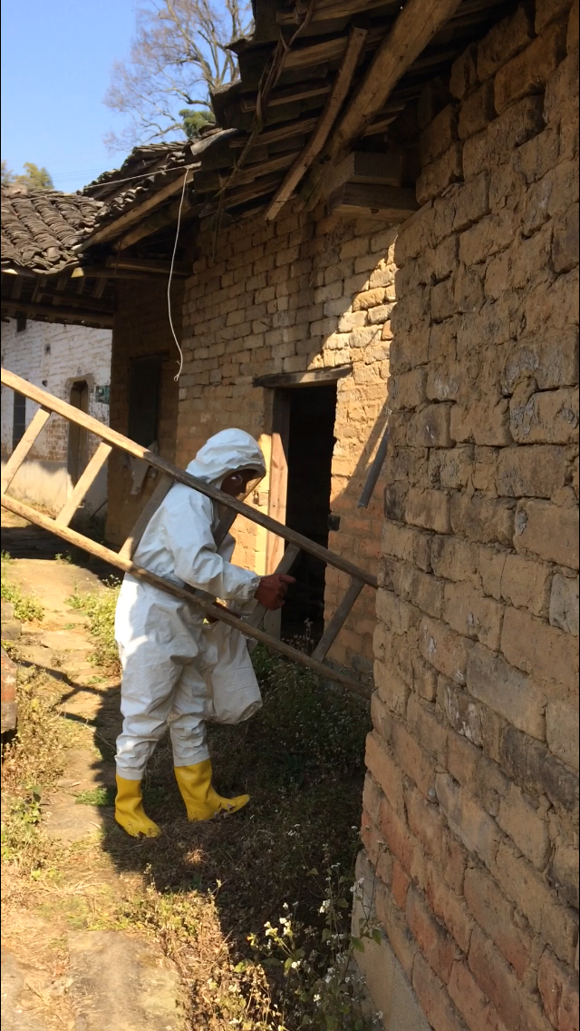 �ɳ���Ϊ�����