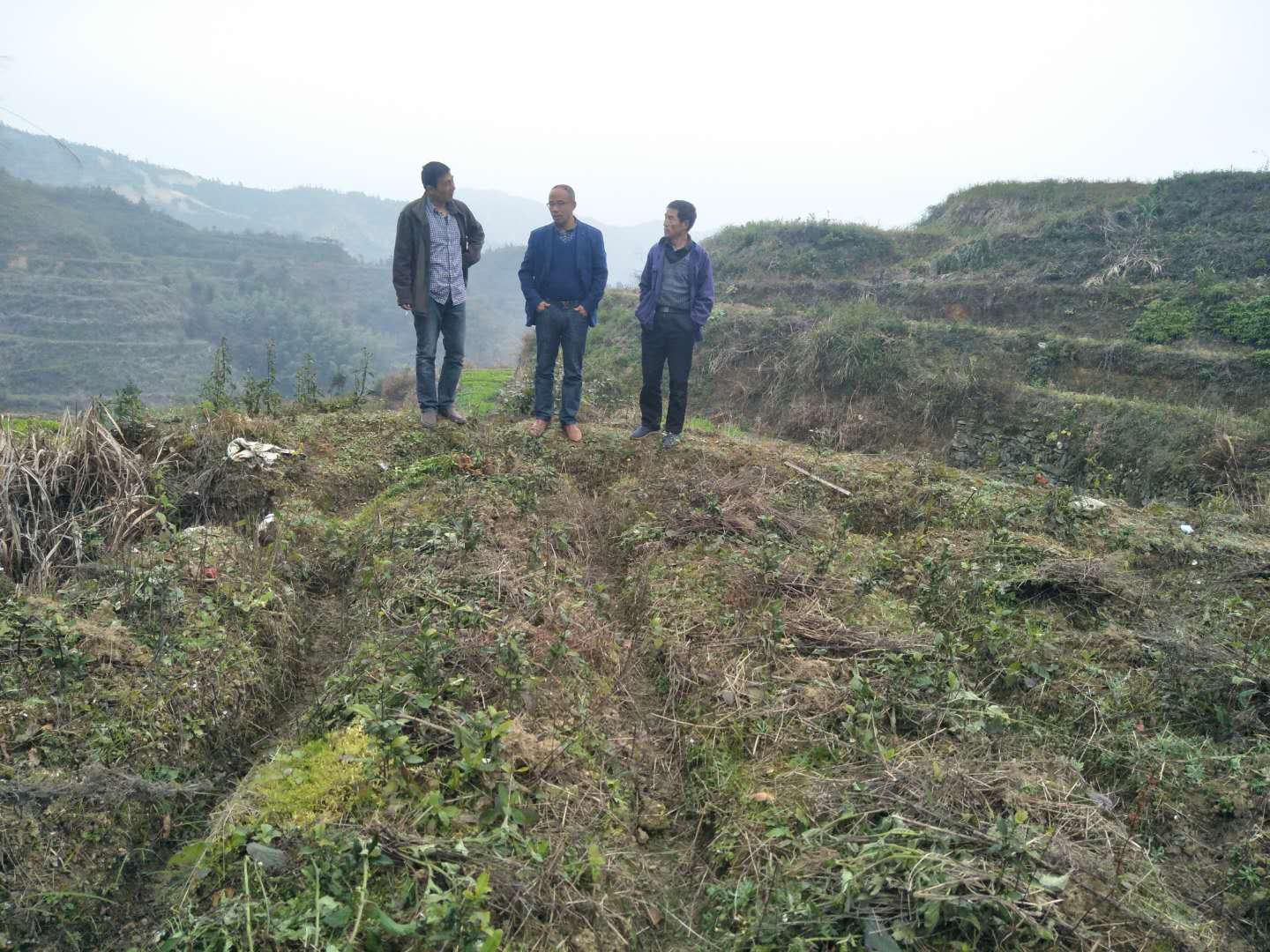 ��һ��Ǻʹ���ίʵ�ز鿴��ɽ