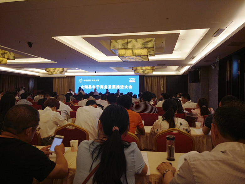 太湖县电子商务发展推进会暨“