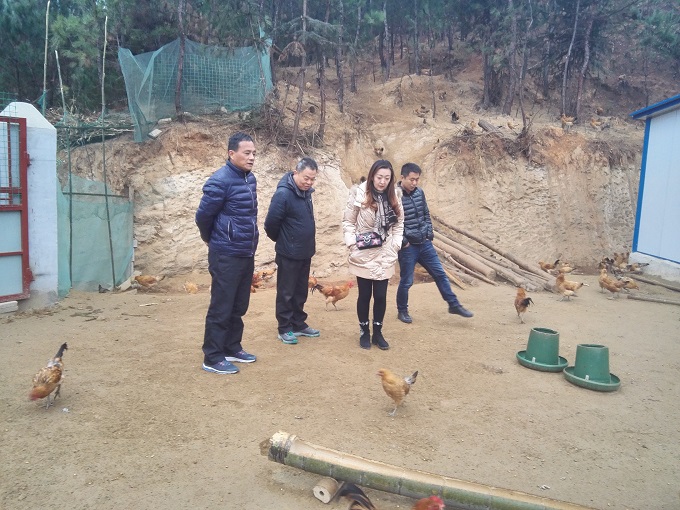 �Ϻ����˹�˾��ʯϼ�忼��ʯϼ