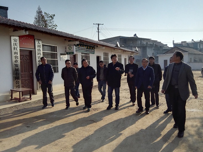 ʯϼ��פ���ƶ�����Ӵ���ʯϼ