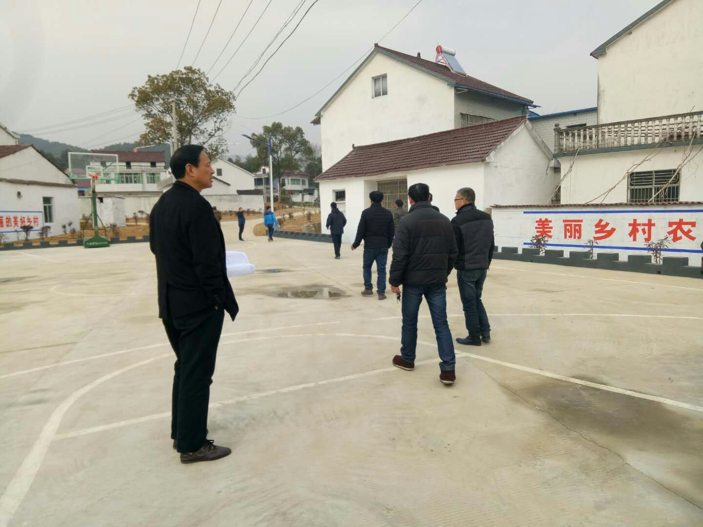 ������������ɽ��鿴�������