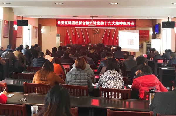 ��ί�����Ÿ��²�����������ʮ�Ŵ��񱨸��